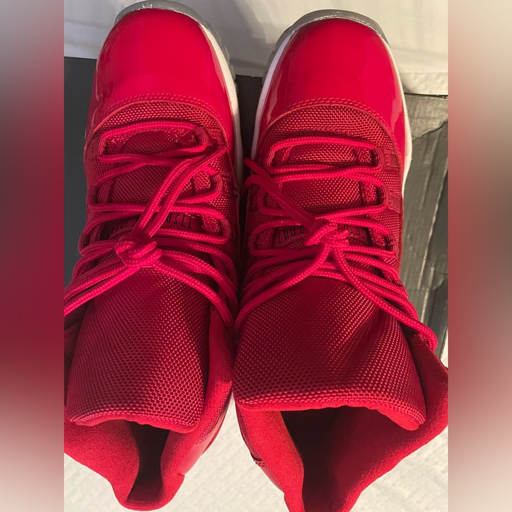 Air Jordan 11 wore twice